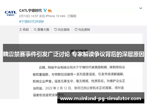 魏震禁赛事件引发广泛讨论 专家解读争议背后的深层原因