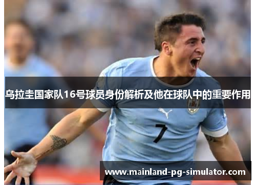 乌拉圭国家队16号球员身份解析及他在球队中的重要作用