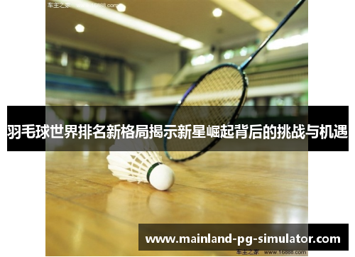 羽毛球世界排名新格局揭示新星崛起背后的挑战与机遇
