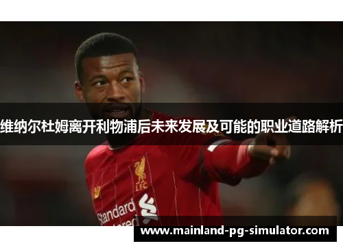 维纳尔杜姆离开利物浦后未来发展及可能的职业道路解析