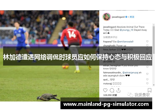 林加德遭遇网络调侃时球员应如何保持心态与积极回应 林加德遭遇网络调侃时球员应如何保持心态与积极回应