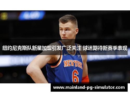 纽约尼克斯队新星加盟引发广泛关注 球迷期待新赛季表现